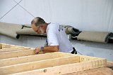 IMG 0239